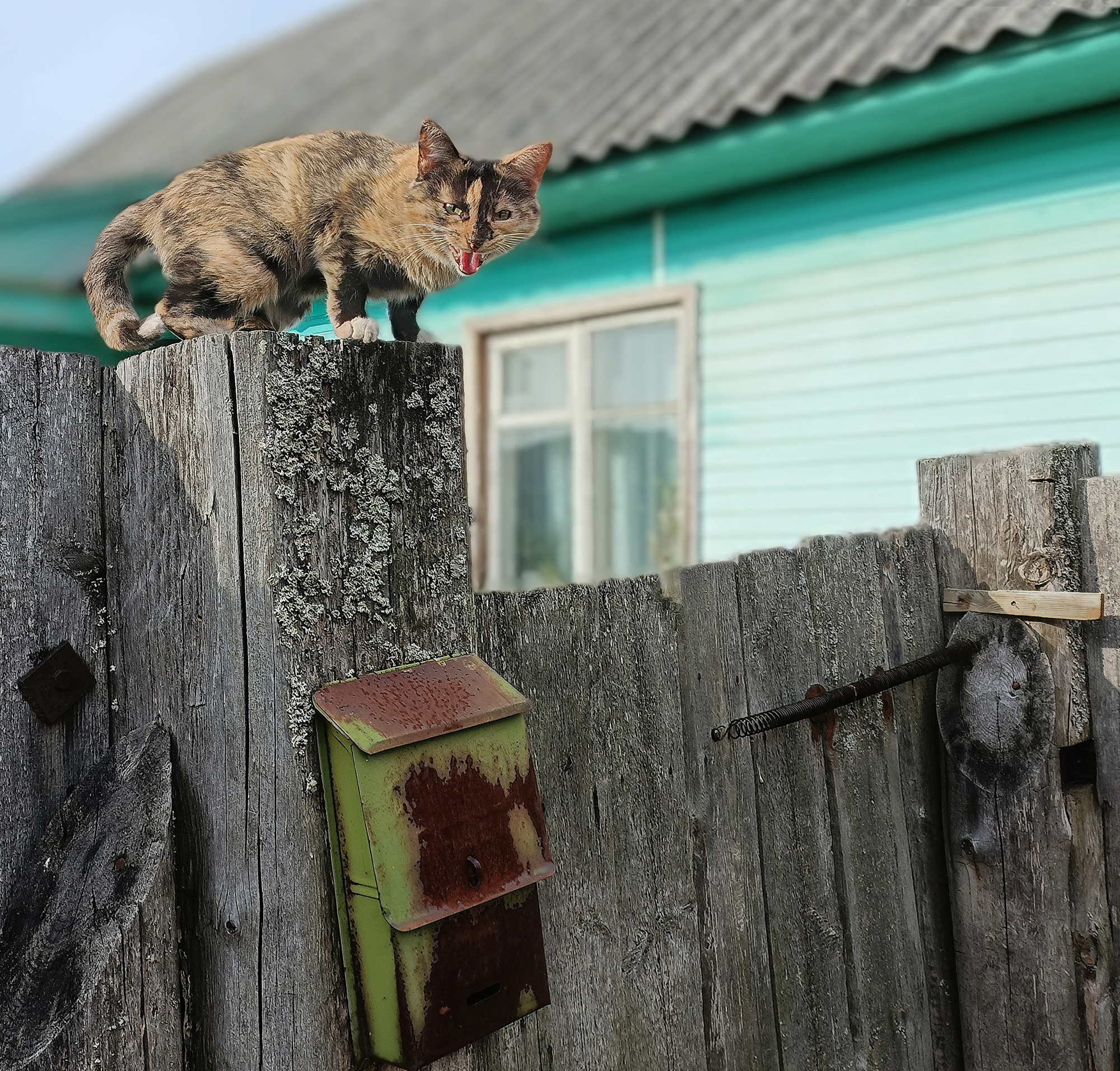 1696921471-b5447e9fbe5a957523fc44dbb7d73