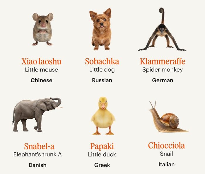 1769016648-b7fe23eb69718716d7e3e83973296