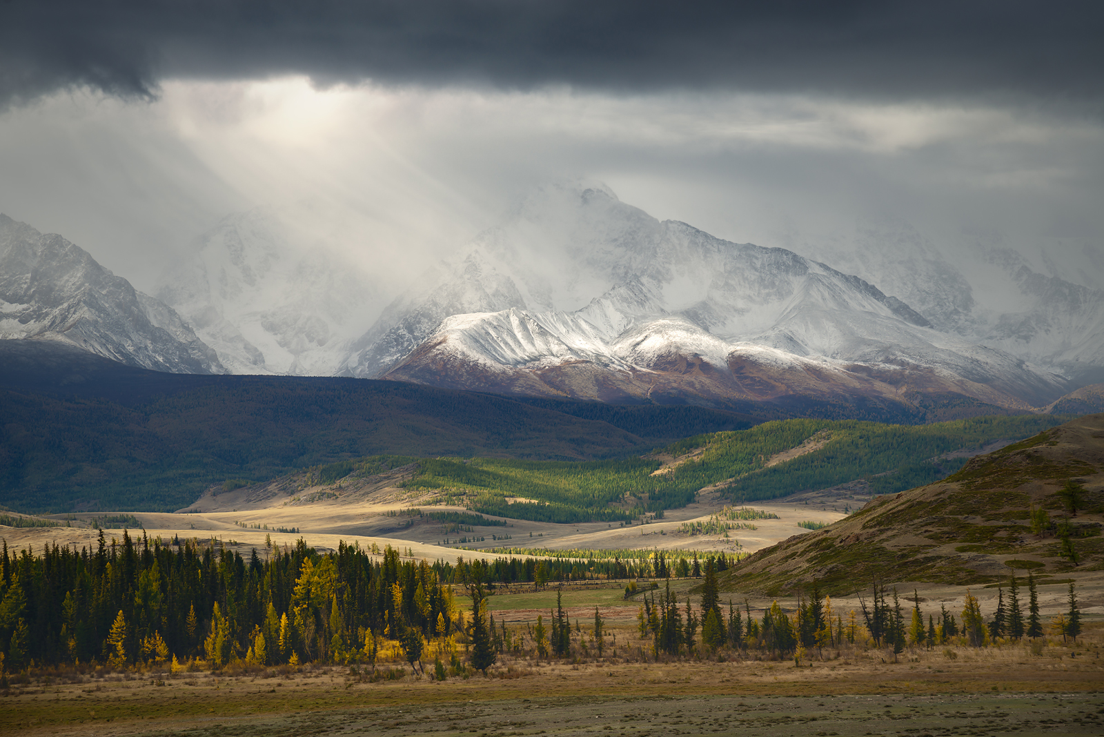 1650282112-b809869692cc7b1f6b821104090be