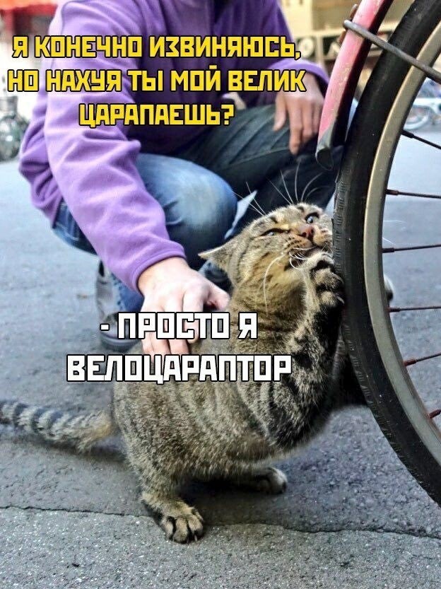 1572176010-b86c36718703a2cc7589e8d153281