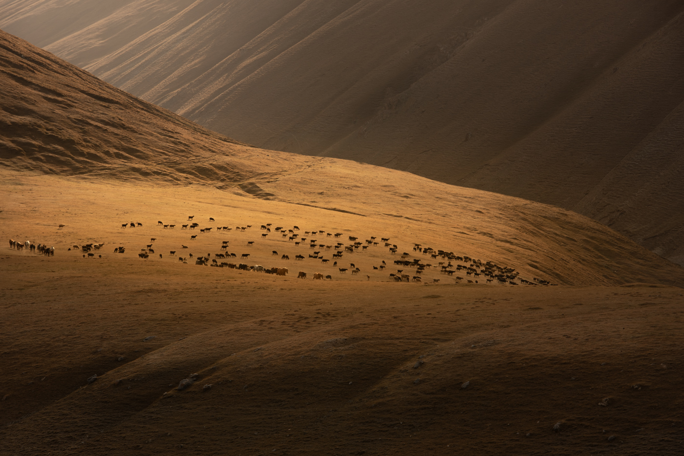 1755298925-b877c9658958449e78c542fd5772f