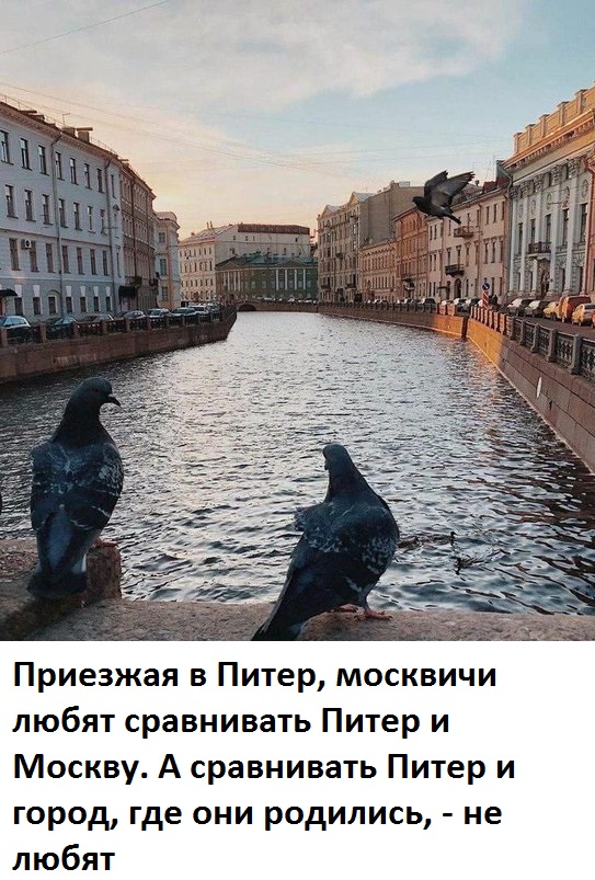 1638521772-ba0ad8726c1cc68ad7a98bd366c9e