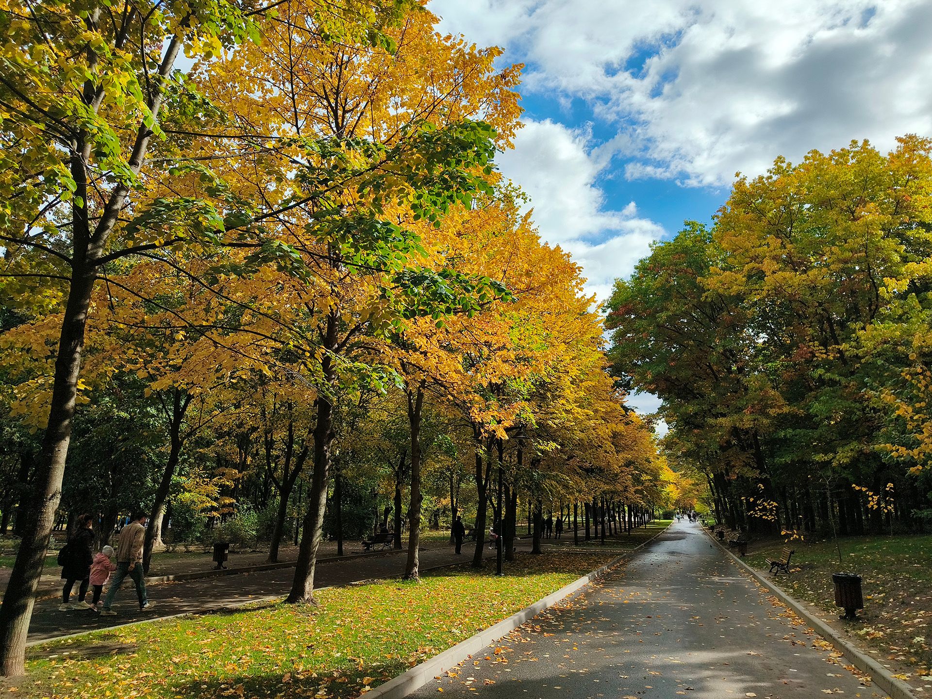 Осень в парке