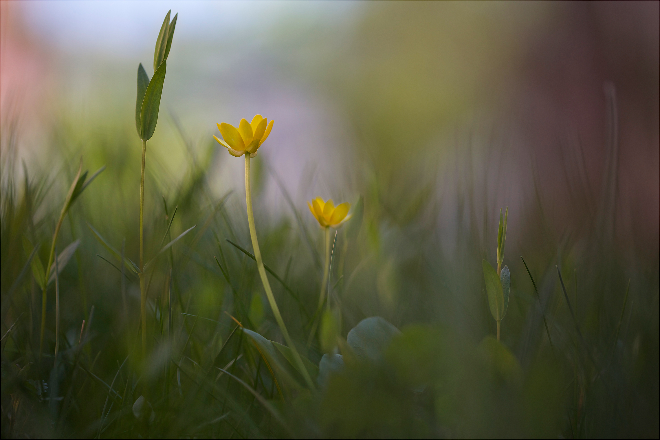 1684328852-bad03ca82011a7c4e46fc64545b87