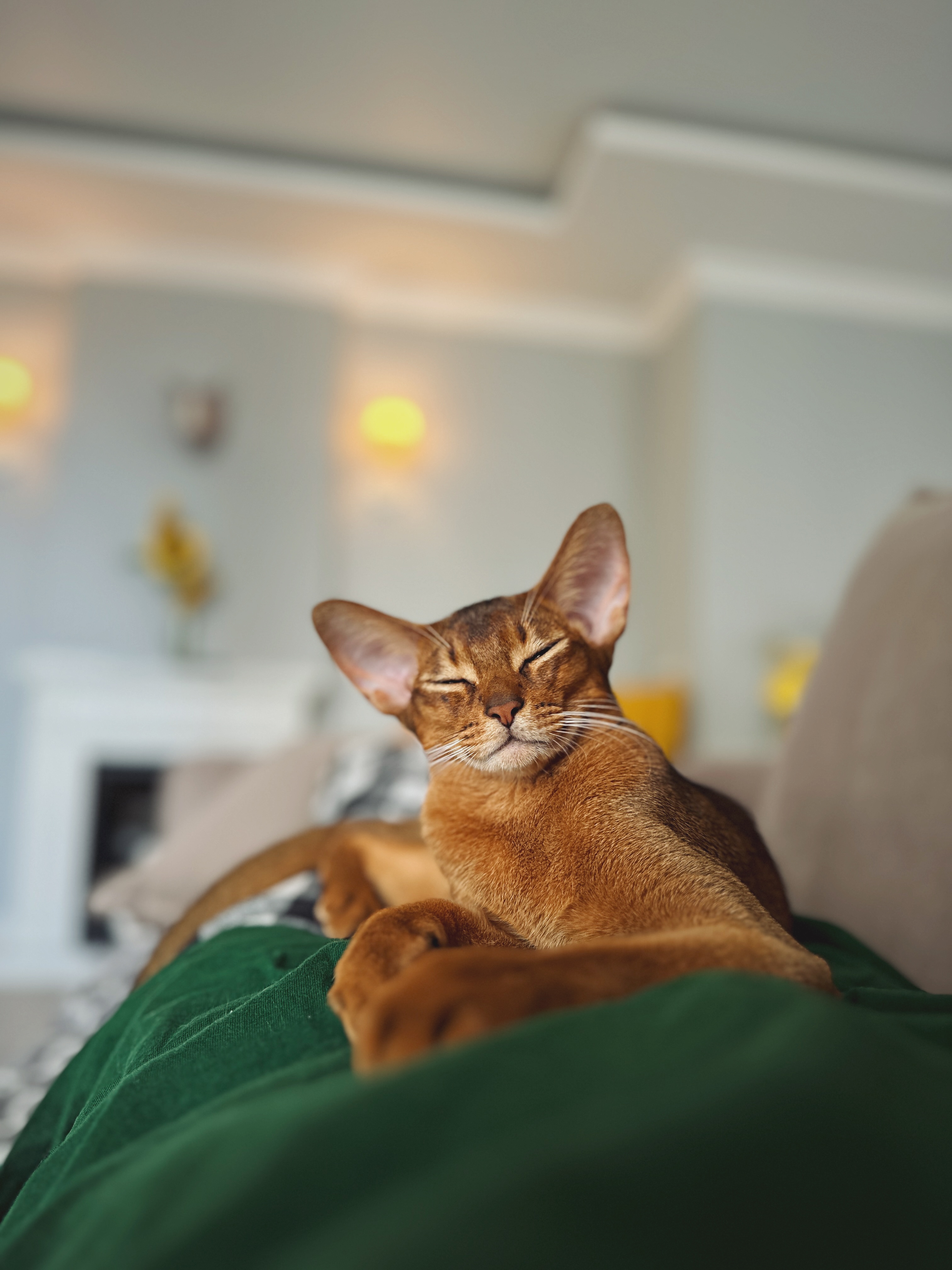 1728970963-bfdbd3e8fa5f9a5b8caec6ddba63e