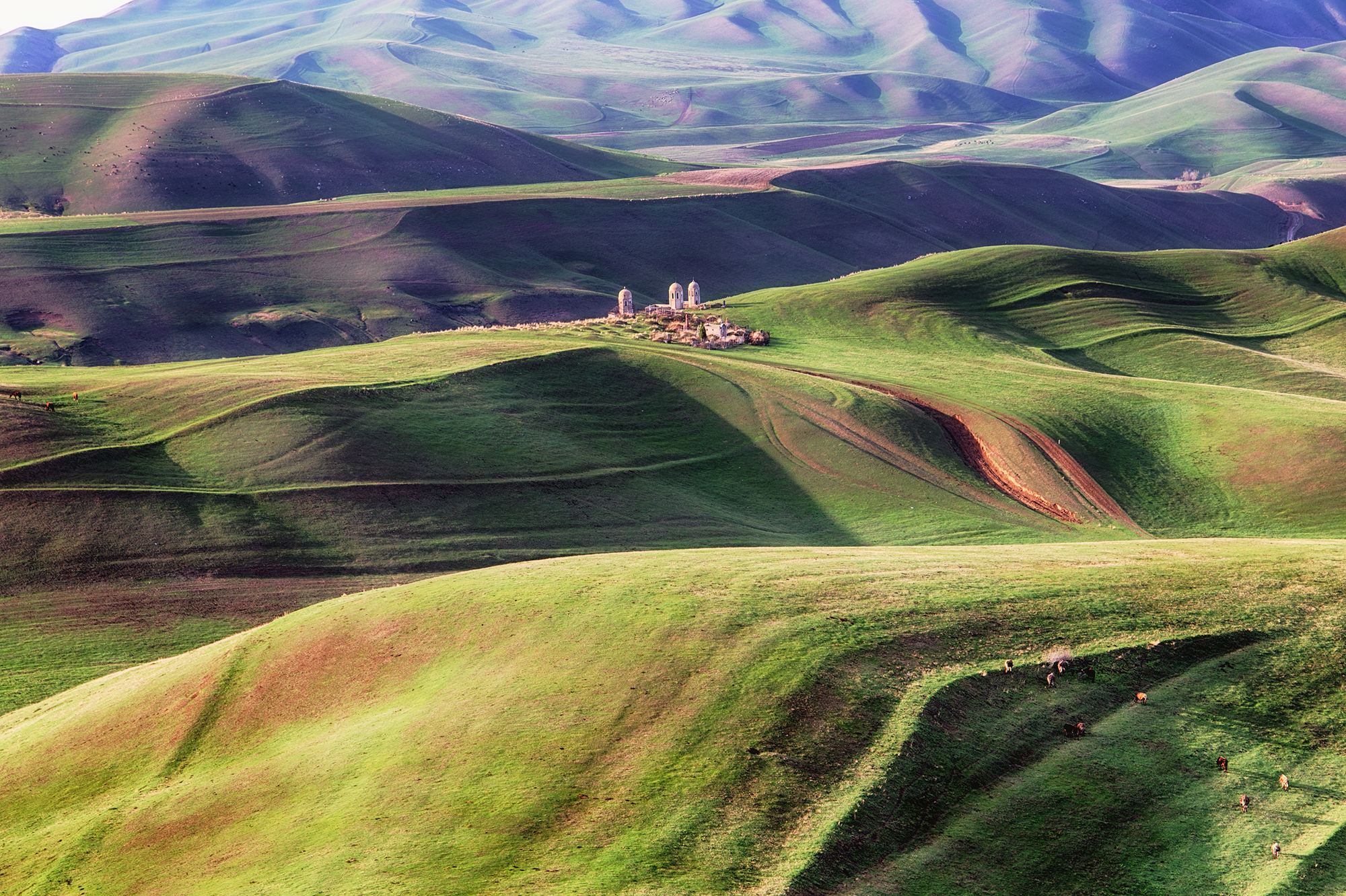 1650540501-c065a7f258e81105e3962a632fc43