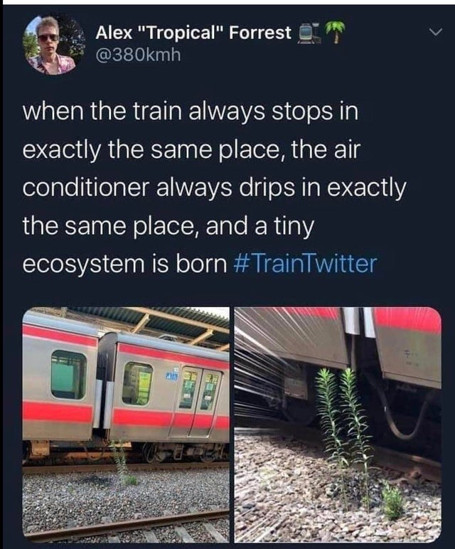 1595856547-c26f2c875f8dd85865c6c0cb6b9d0