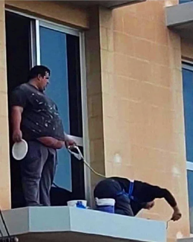 1631023682-c3636fe6a8cf8fd6494b535b3b026