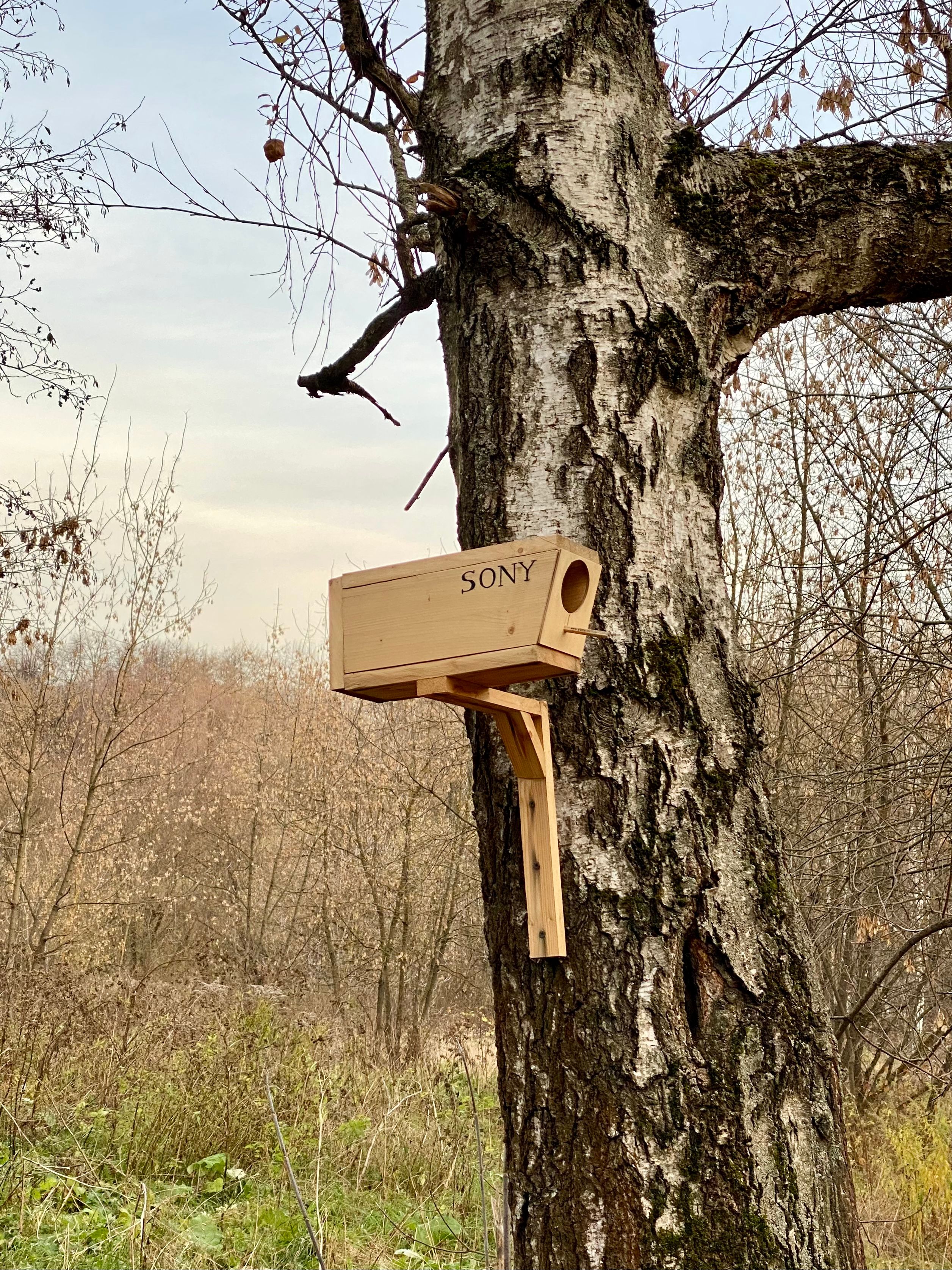 1635618971-c3febecbb11105e00abe24886f5cd