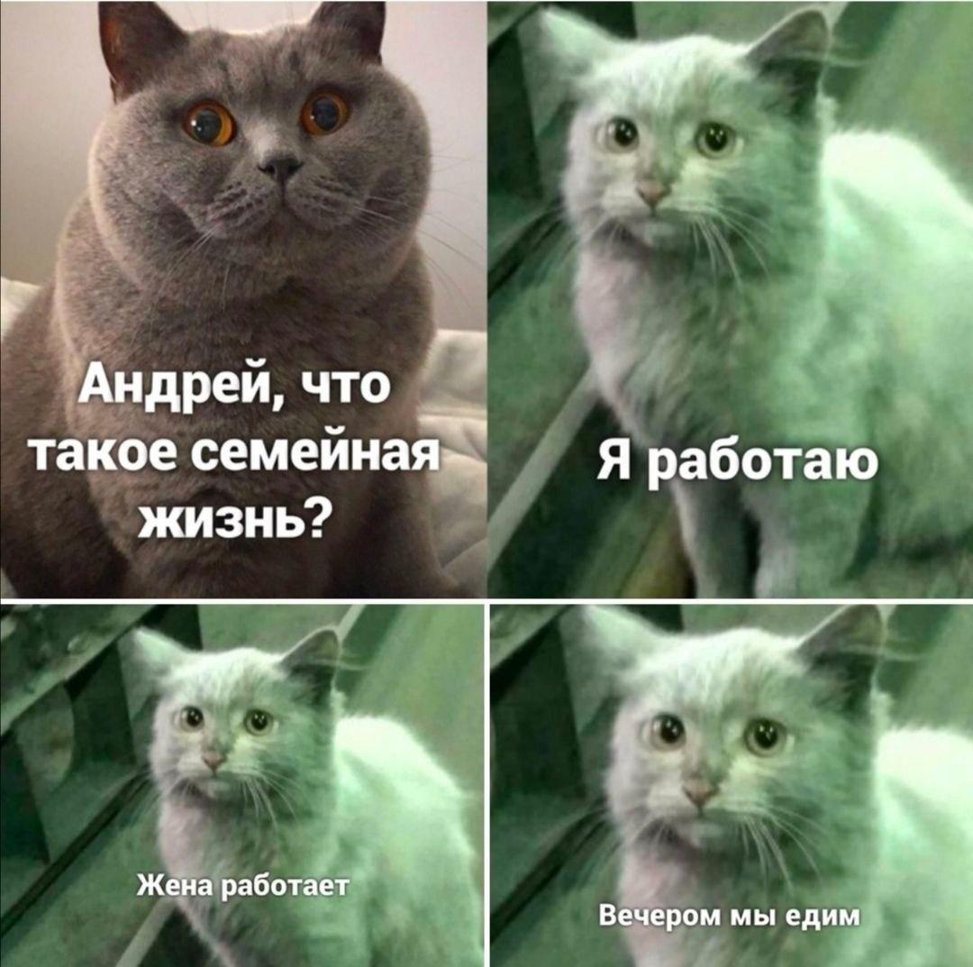 1638277415-c422ed14167e7442d33da978e014d