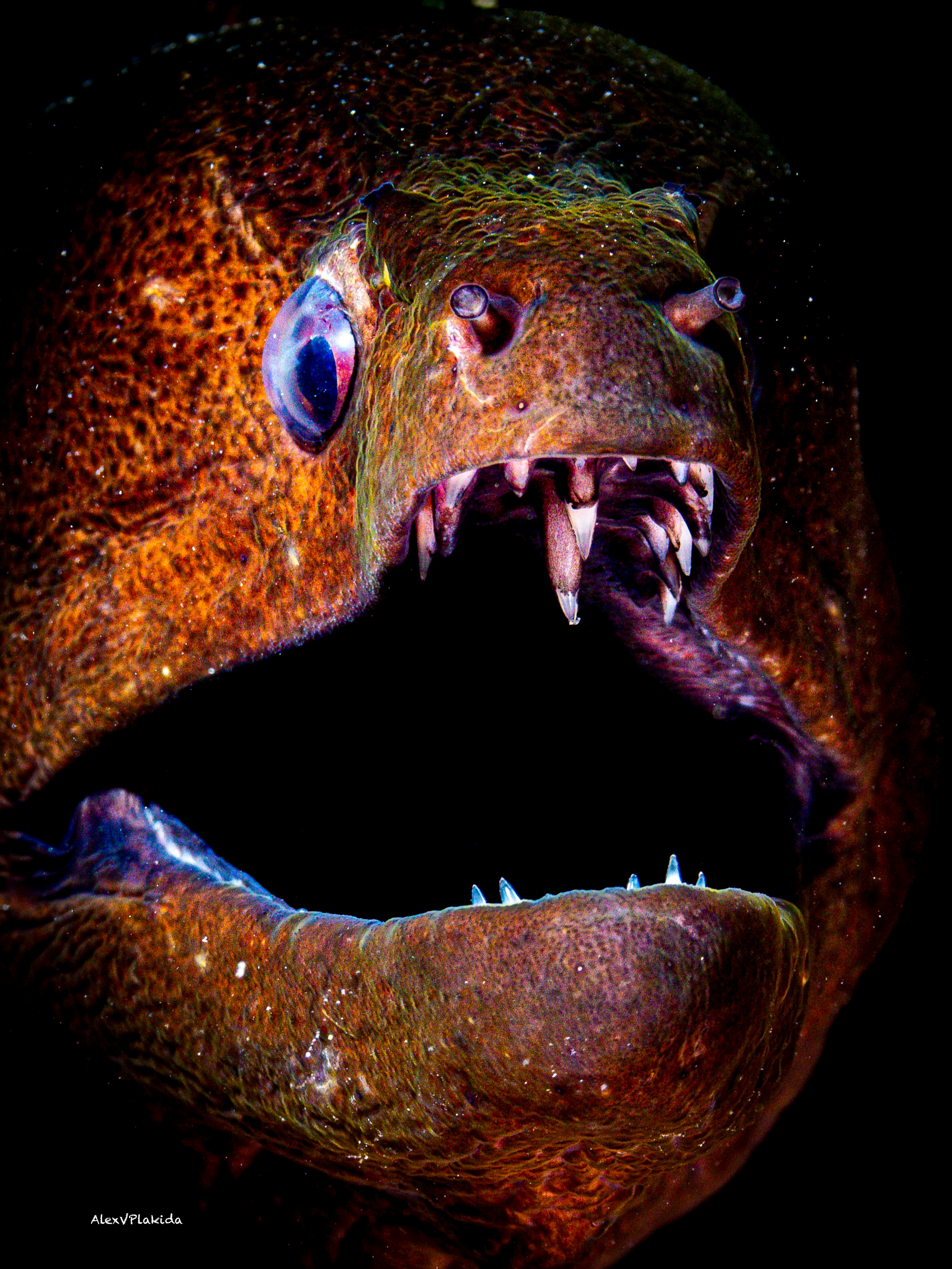 Underwater Black hole