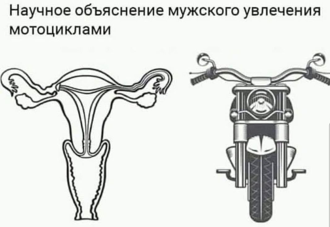 1631010476-c4f15038cac9db62d6eef999aea10