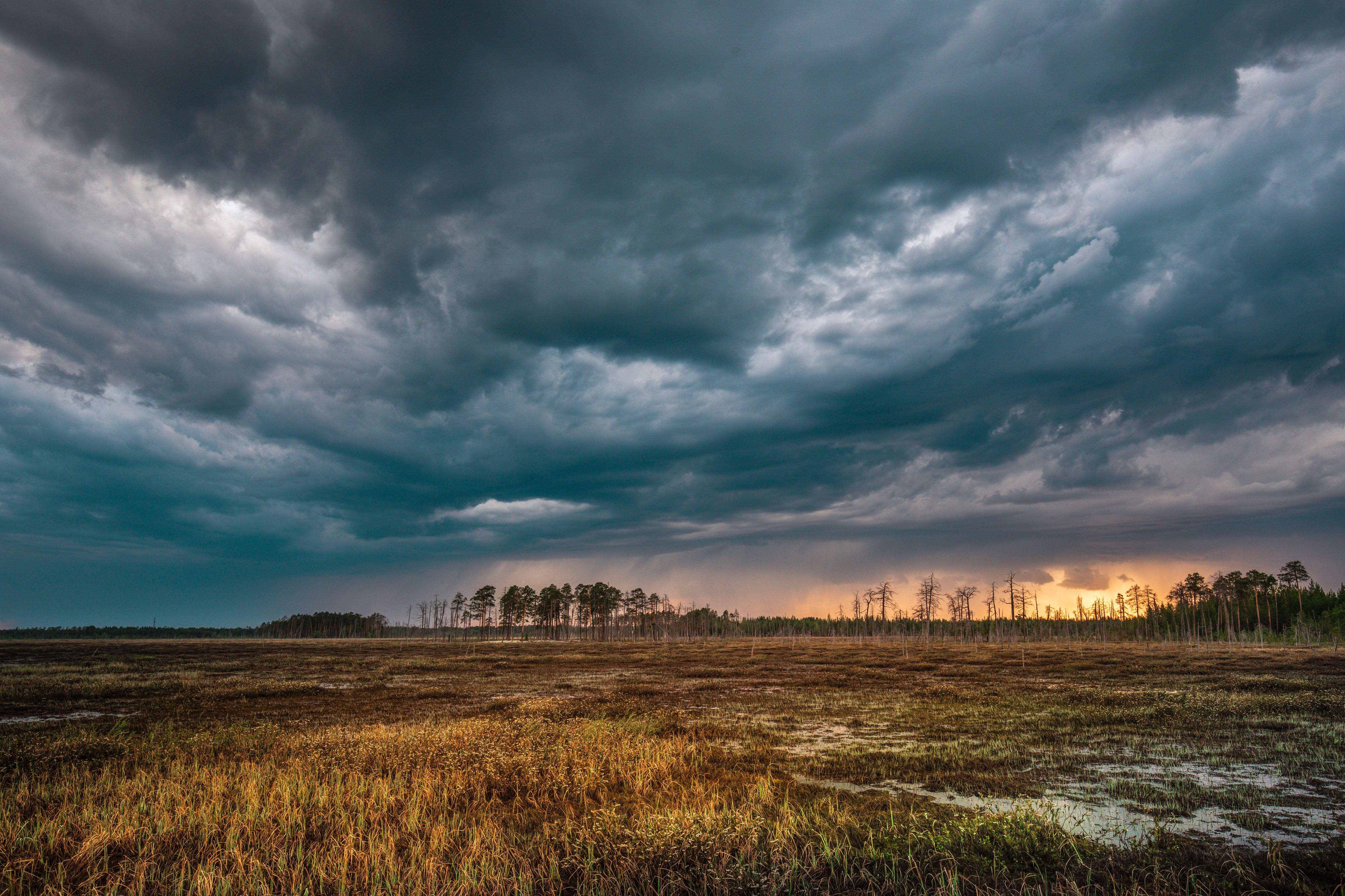 Заказник Верхне–Кондинский