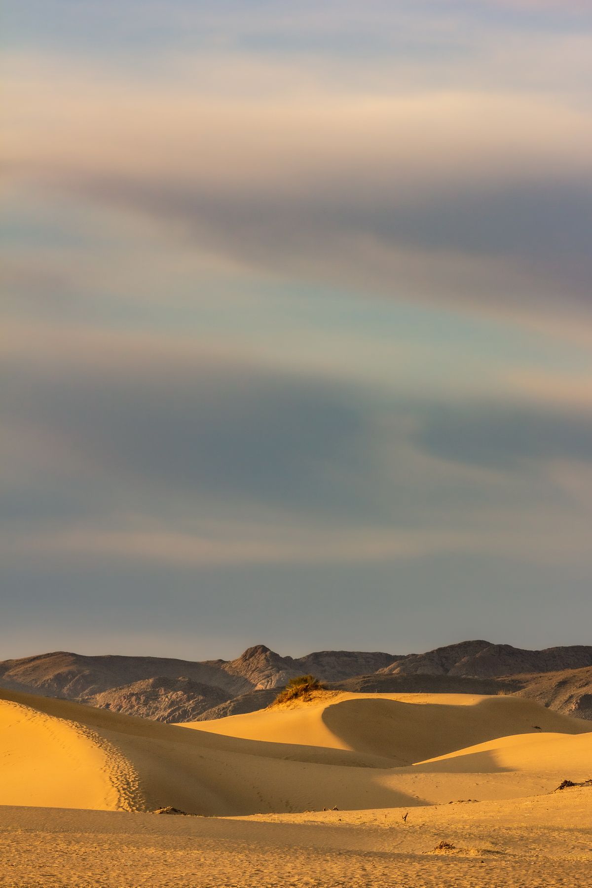 Золото Элсен Тасархая