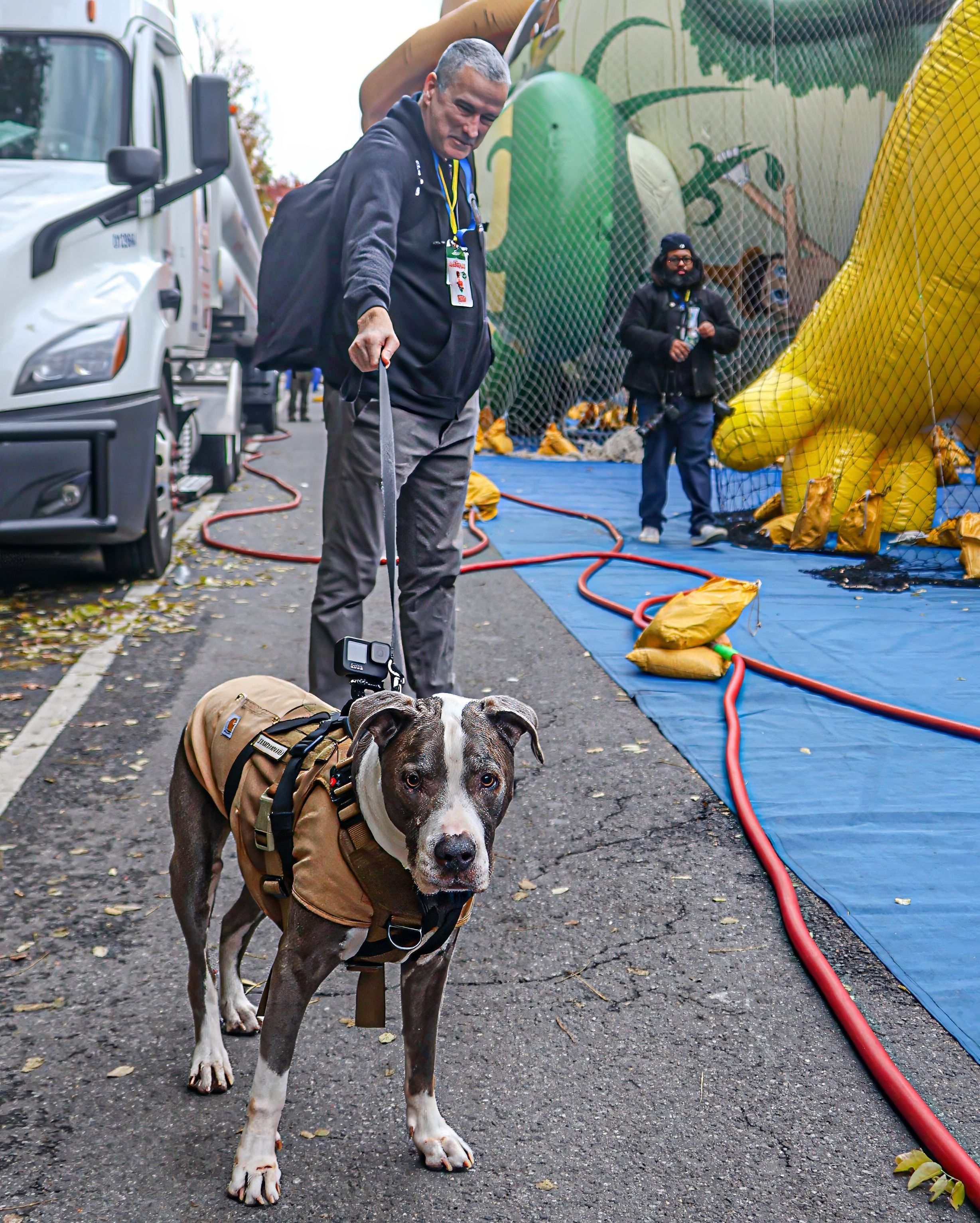 Собакооператор