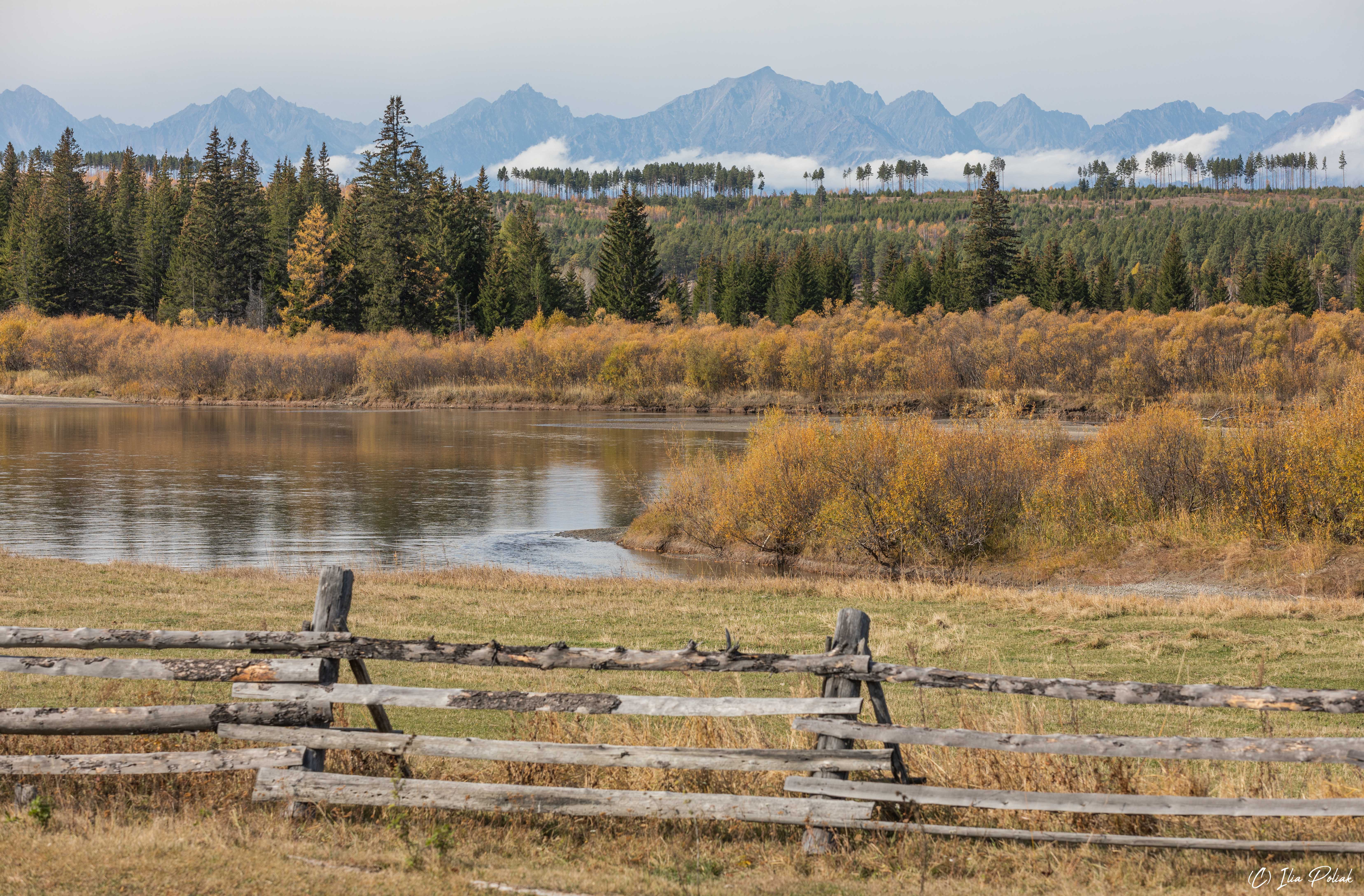 1665597890-c8d1175a8b6c6d3c2f51b44bed79f