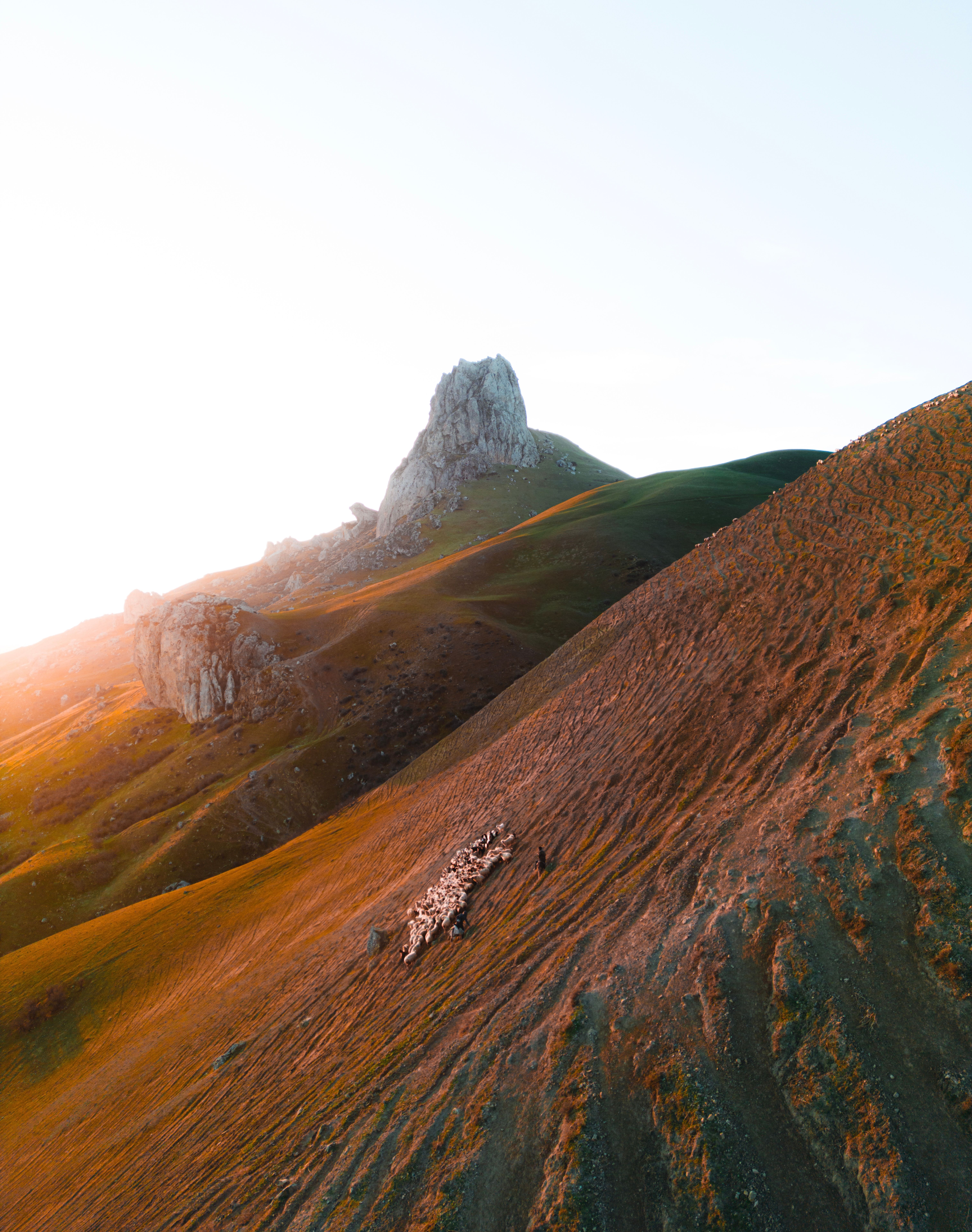 Утренний выпас