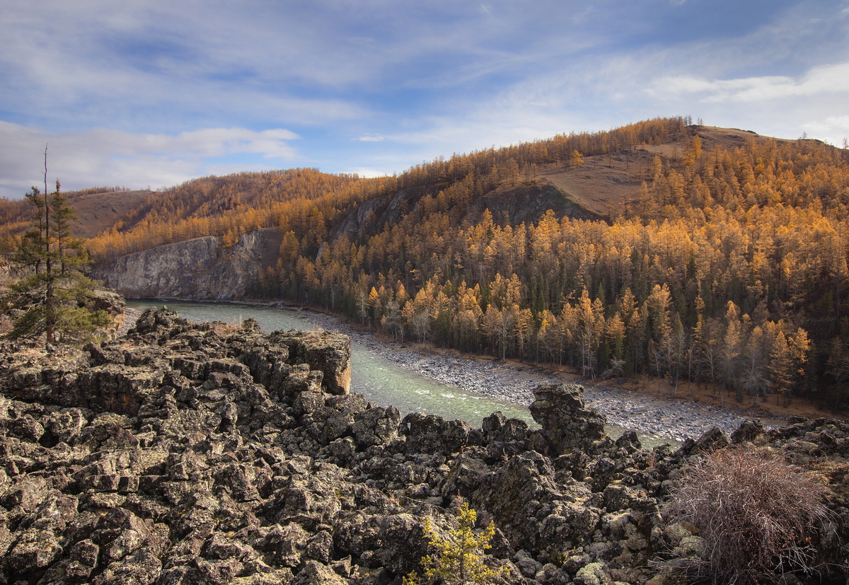 1669521911-cba2d64e2b85e8e10dd5932671fc4