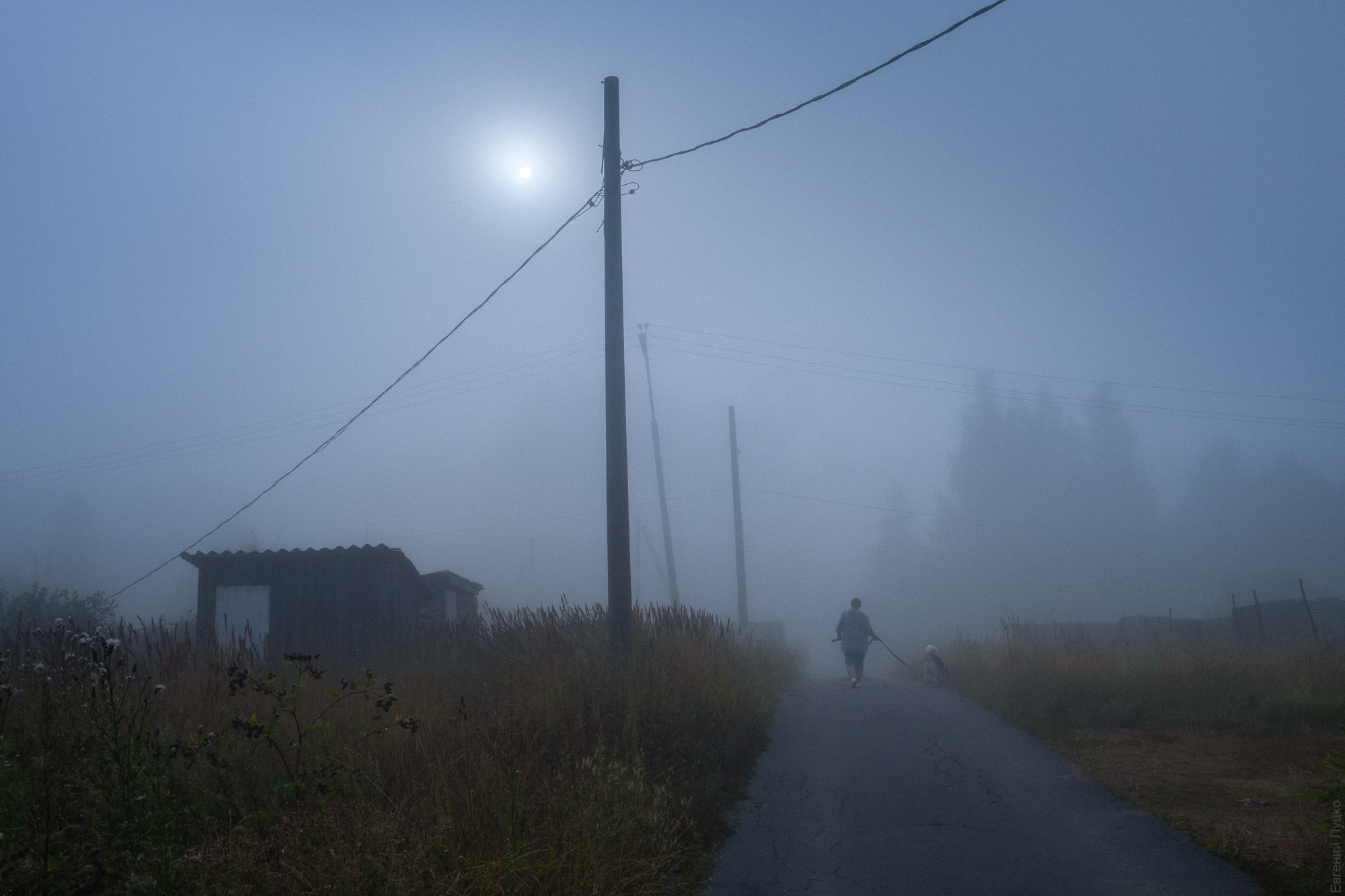 1755417446-cc2456b389a9535eae01505a1223f