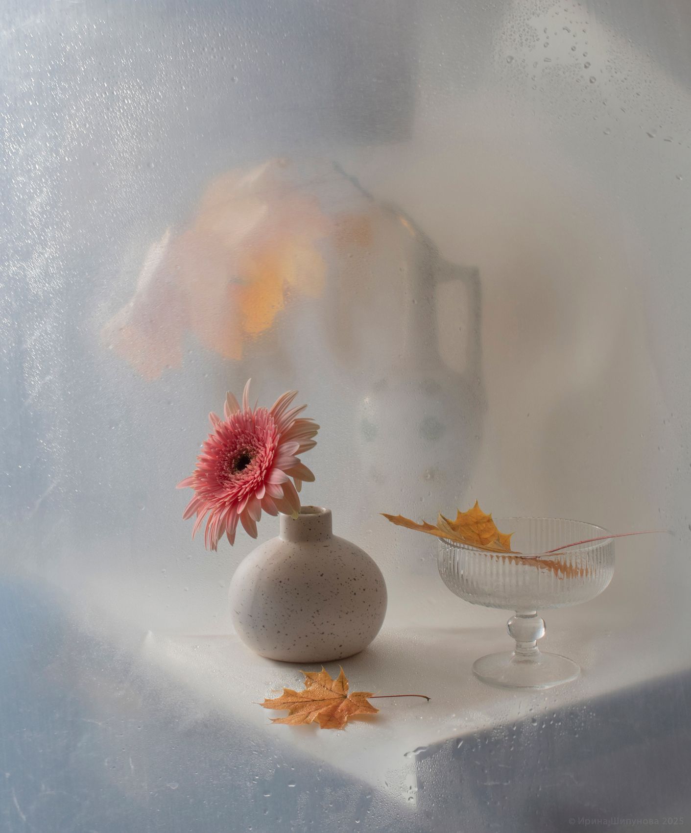 Слёзы осени