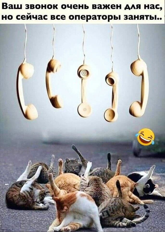 1698259715-cf41629e868897b164f7ceccf2795