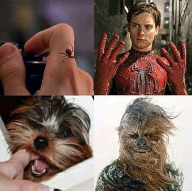 1513747442-cf84702ea61159a284b33ebae187c