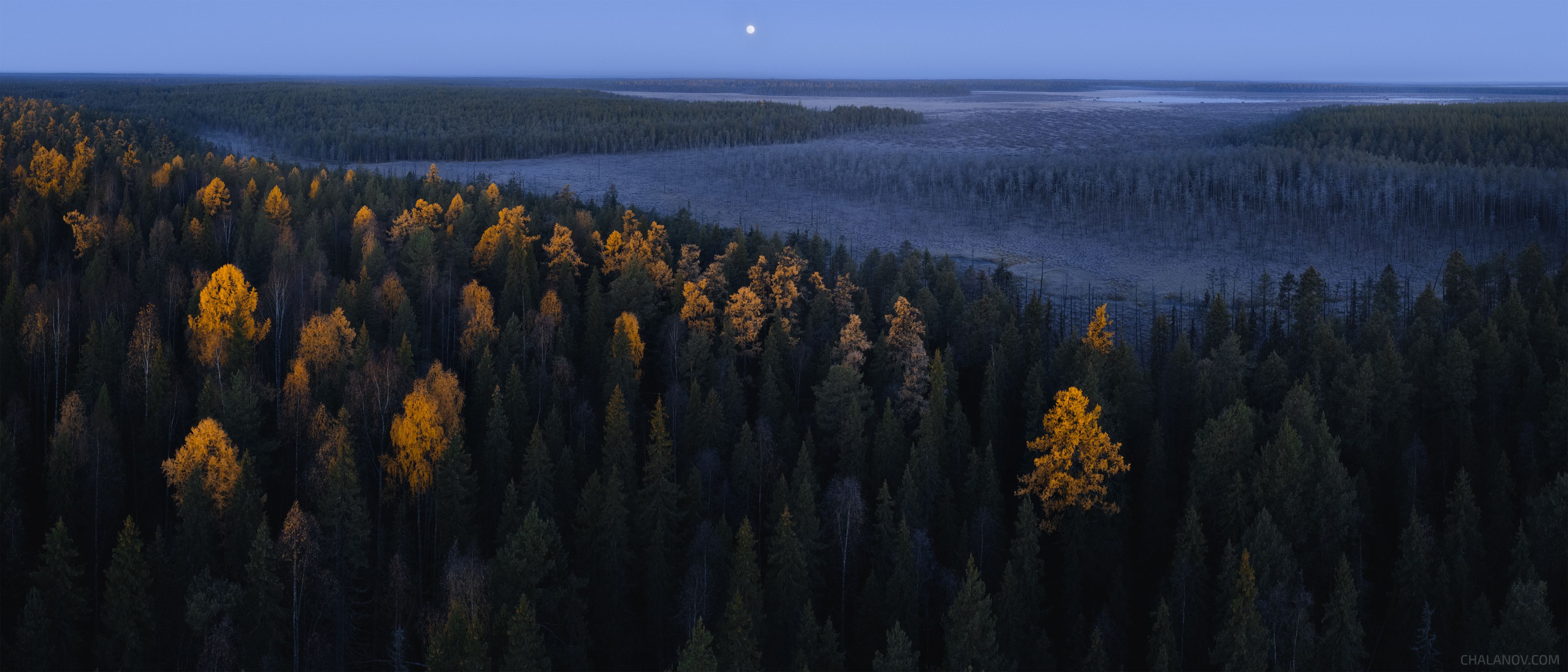 Мыс золотых лиственниц