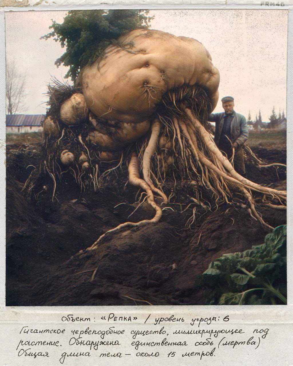 1681409497-d17d1f90f74aeefced7549efa9e24