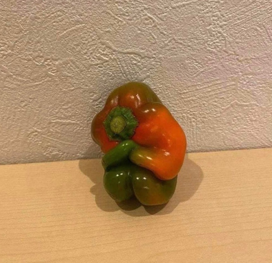 1649684447-d376bf0d1d426739596b5cfe9a269