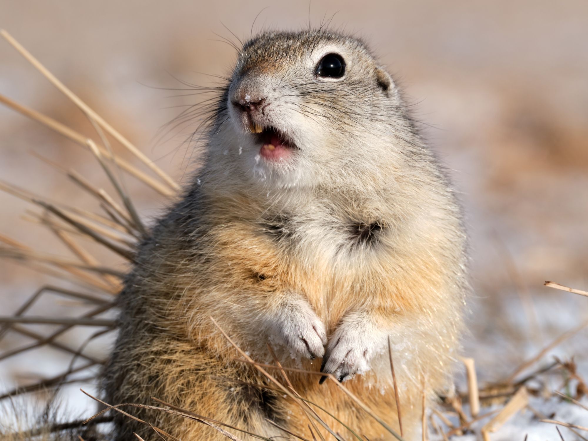 Звезда в шоке