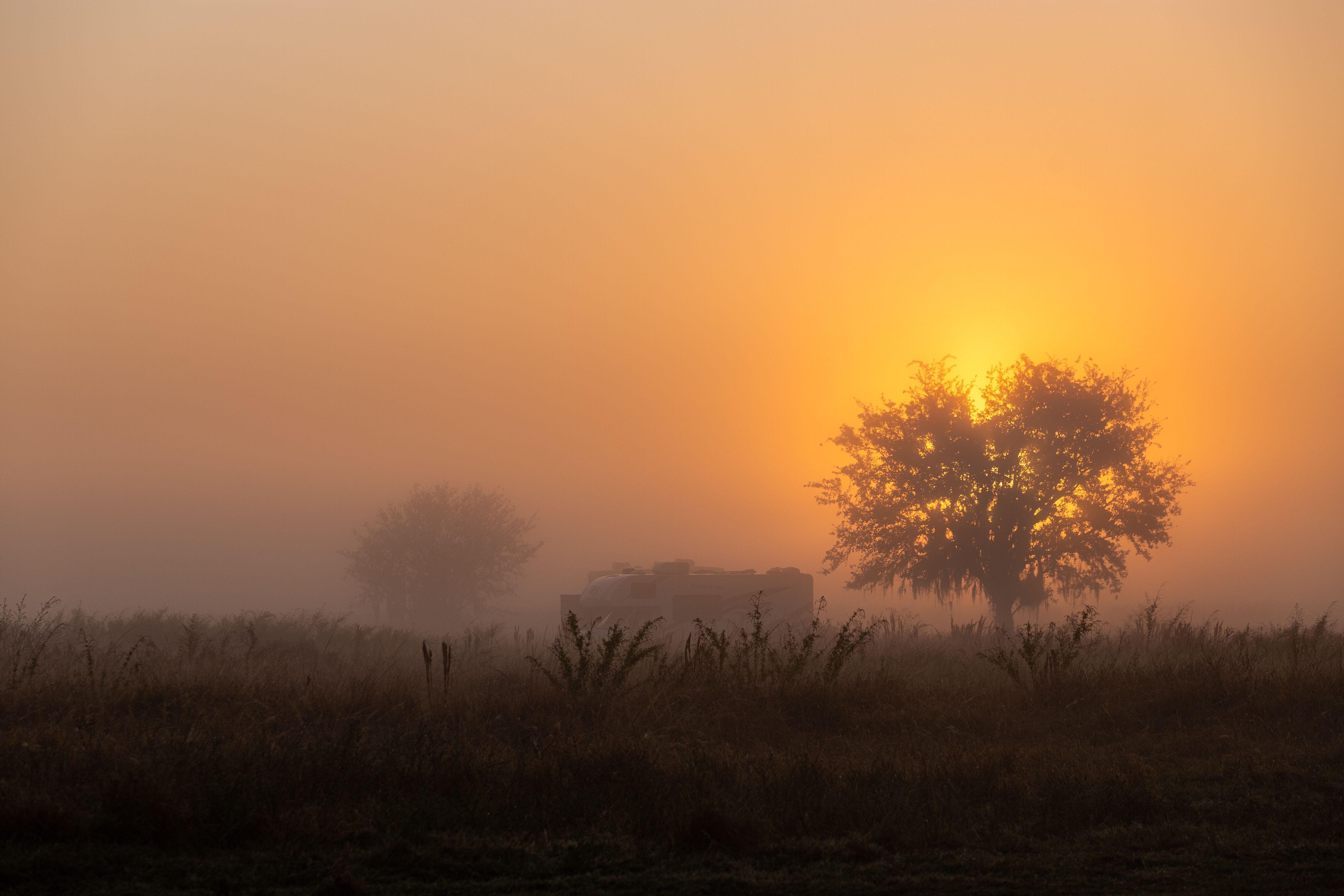 1766974646-d41b6cbcb1760d62e7030e229b111