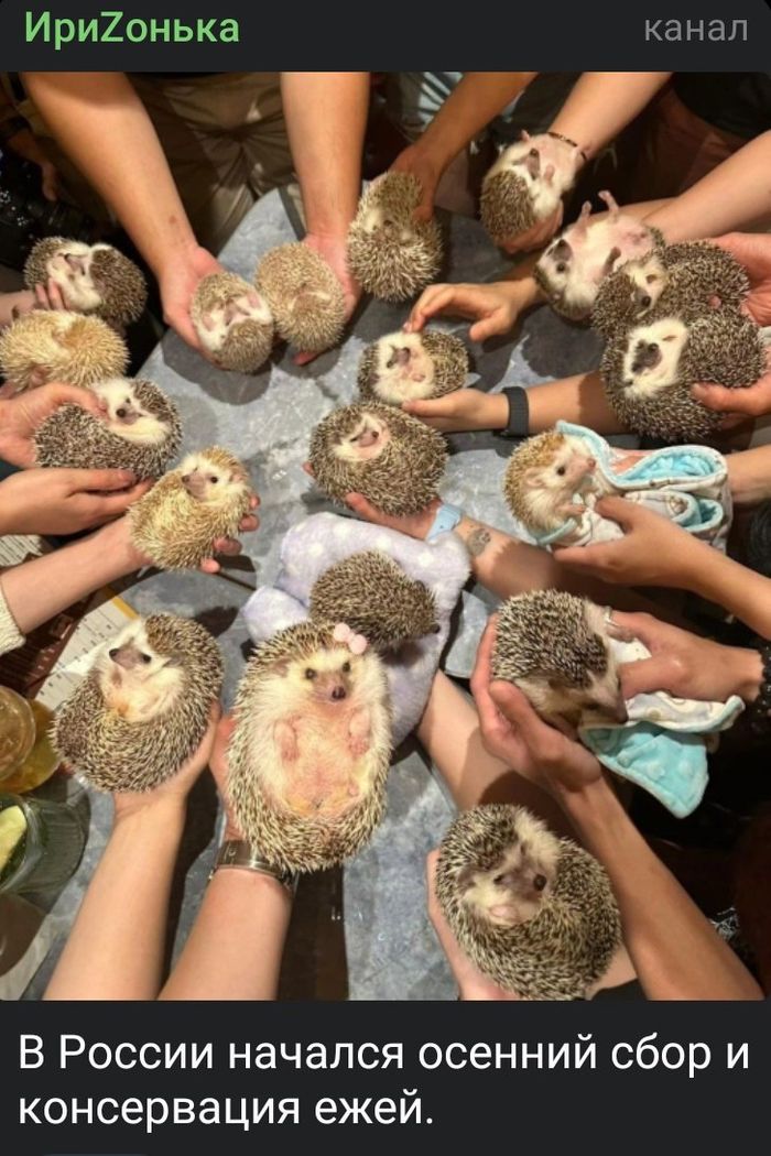 1759415217-d4a2972c2af707cdf8664cc605426