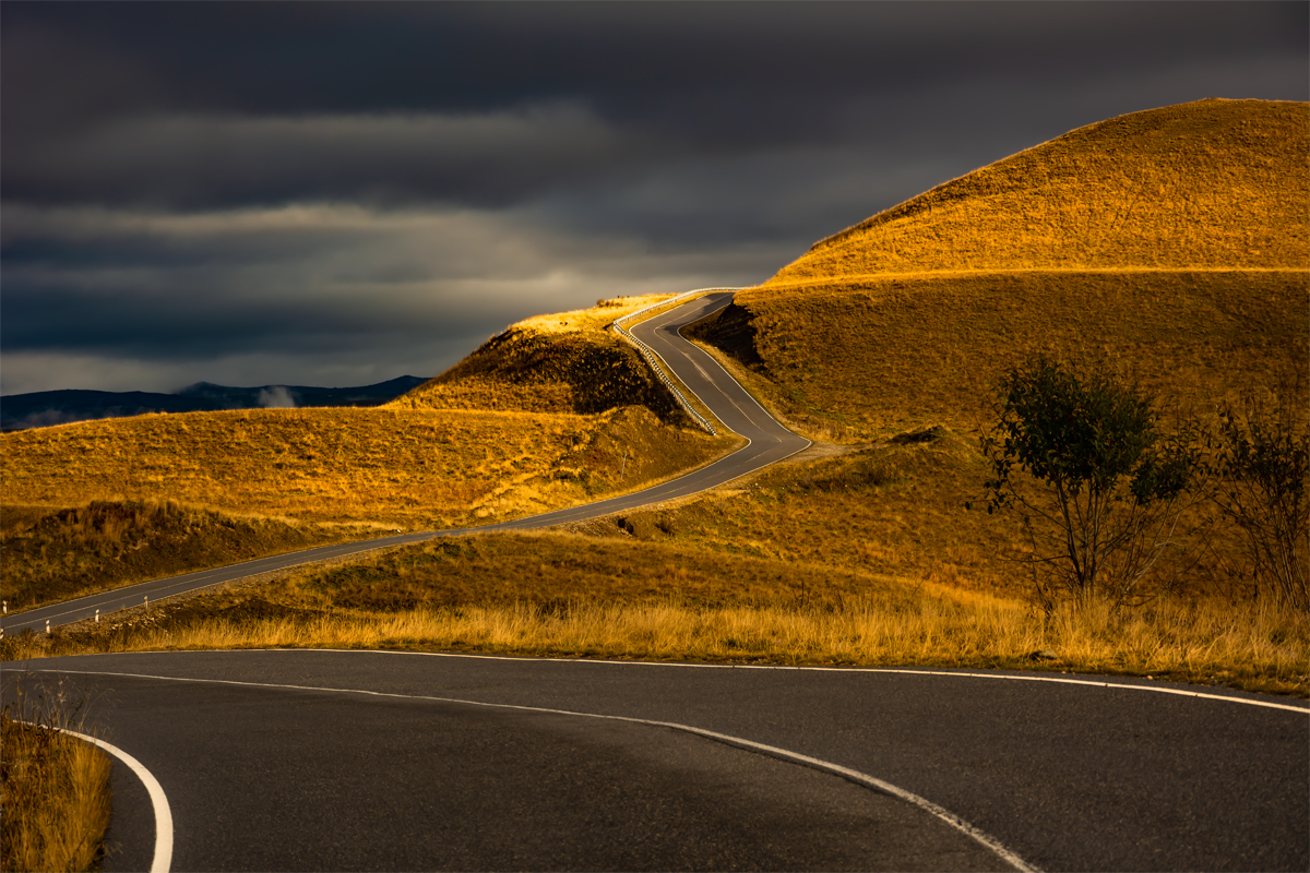 1636294746-d62d1ffa5bf2fcfcd24e93ff91be2