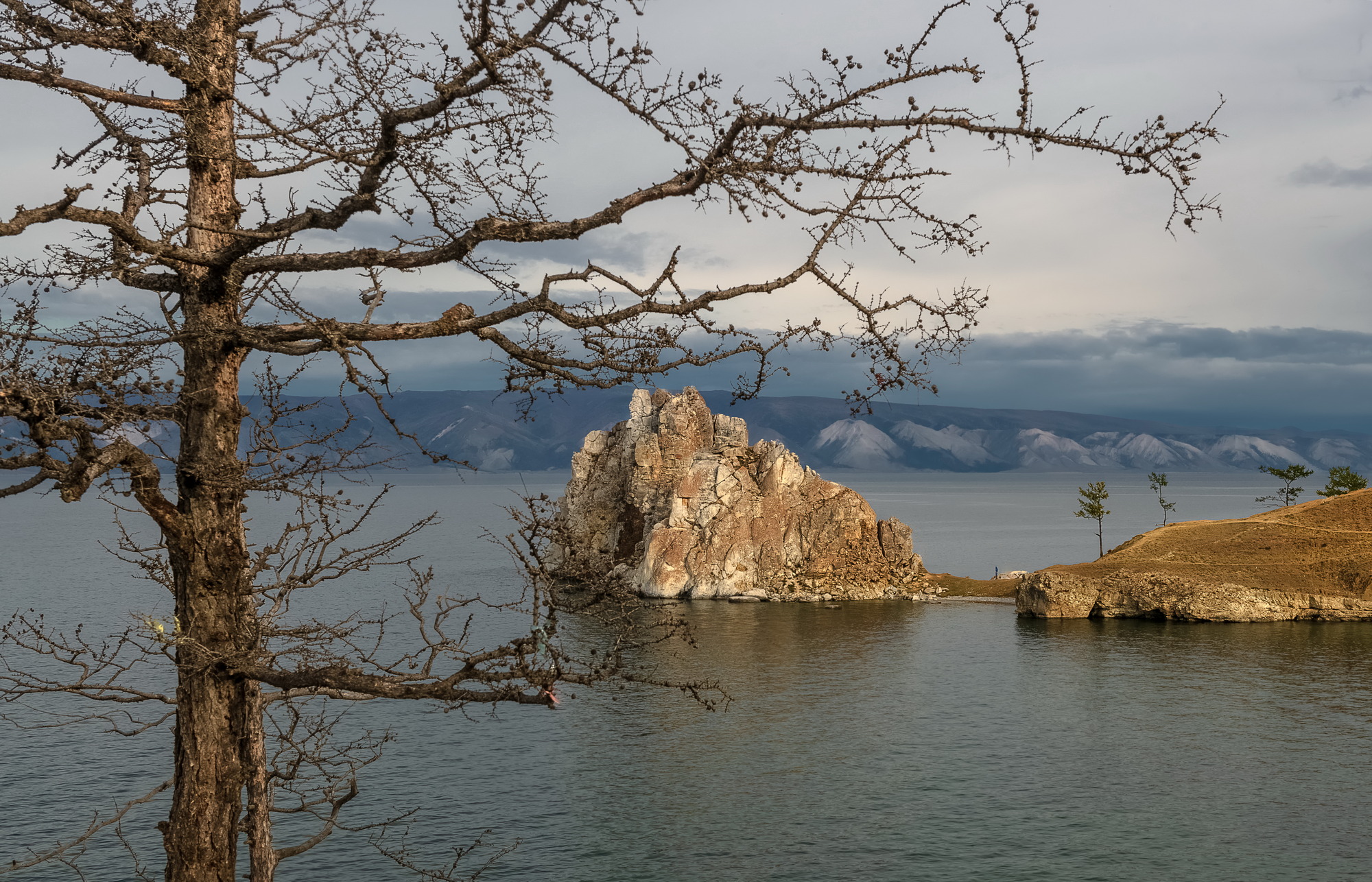 1665669940-d914b3858cb2f823aa894ed16b48f