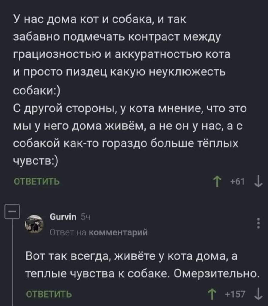 1637213233-dcd1fbeda6871d4f004d3ecc0bb7b