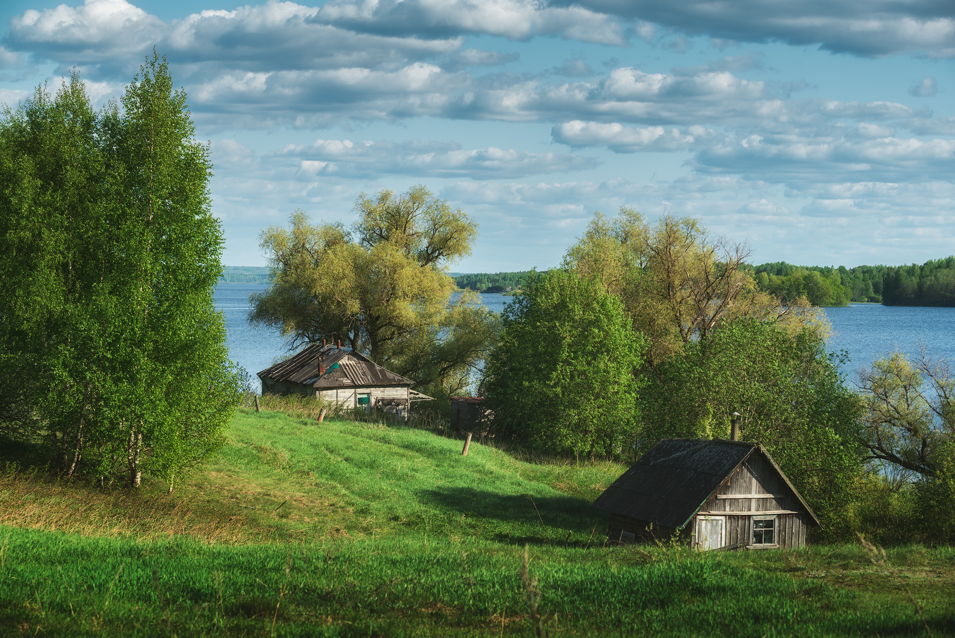 1684757733-df58a139458eb8a3c996a558e96ff