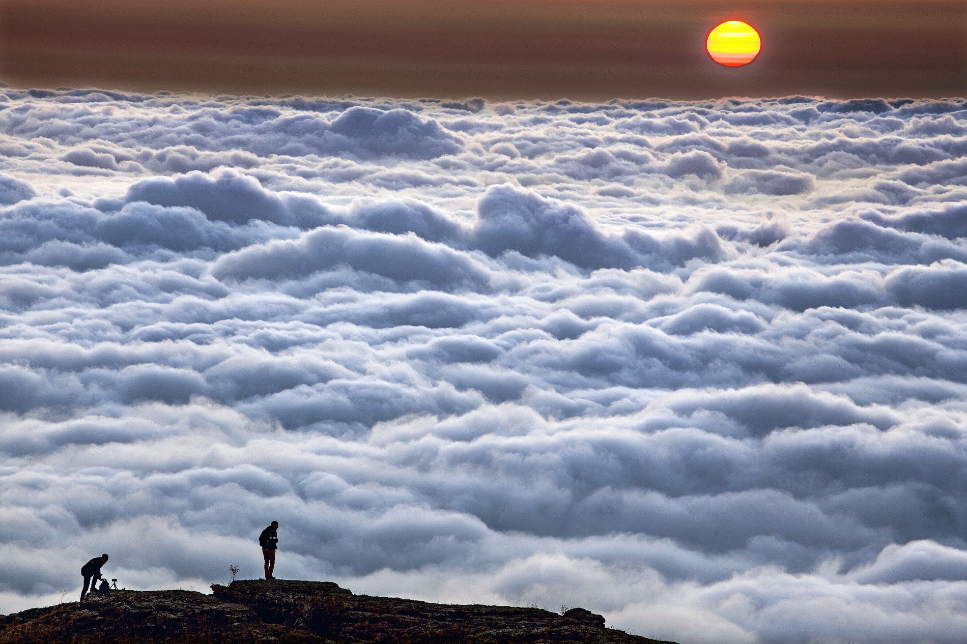 1684821342-df805b8236c7f0a682049f6b68410