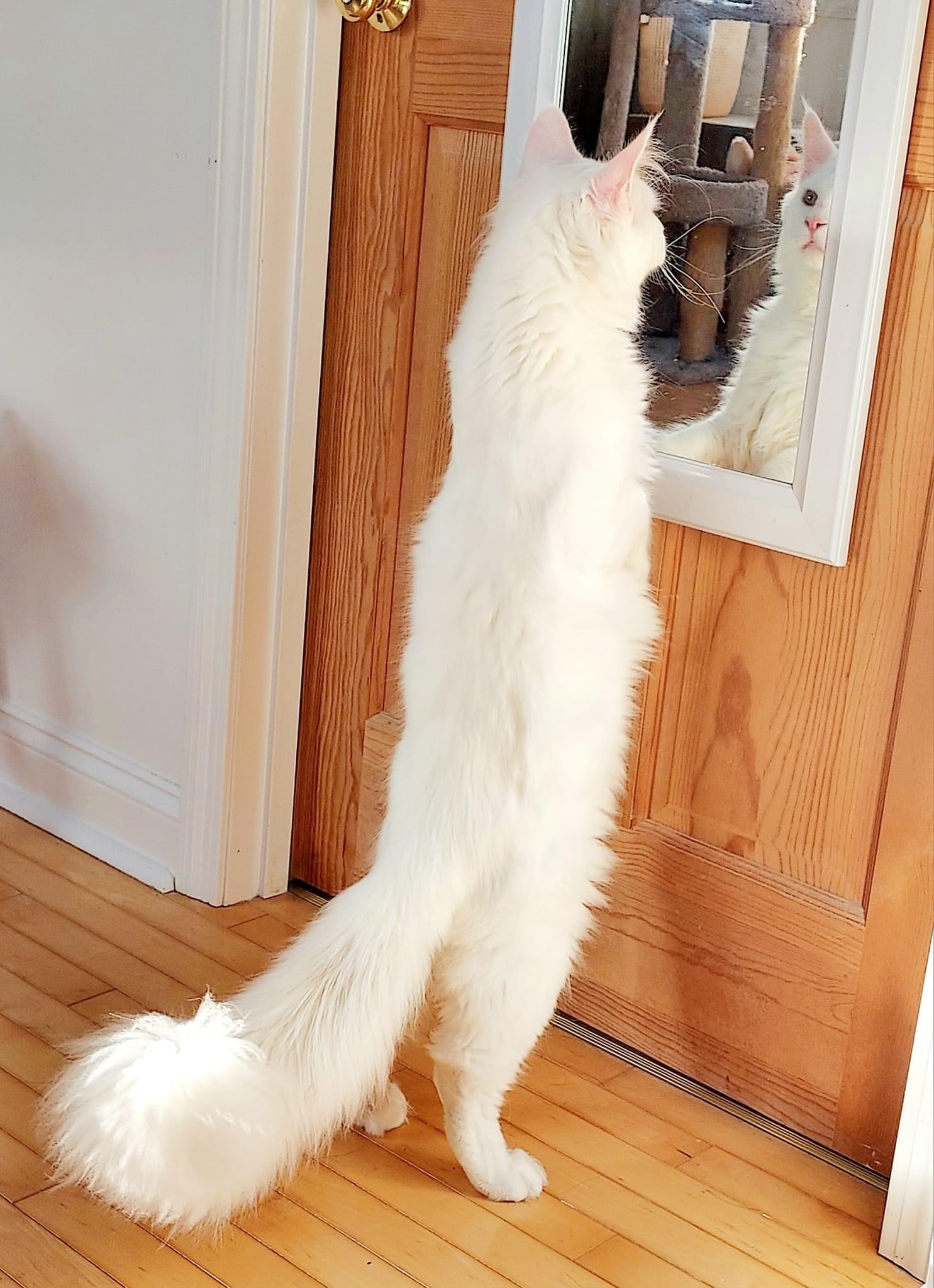 1696857362-e423e0322379786f478a5c2da8ce8