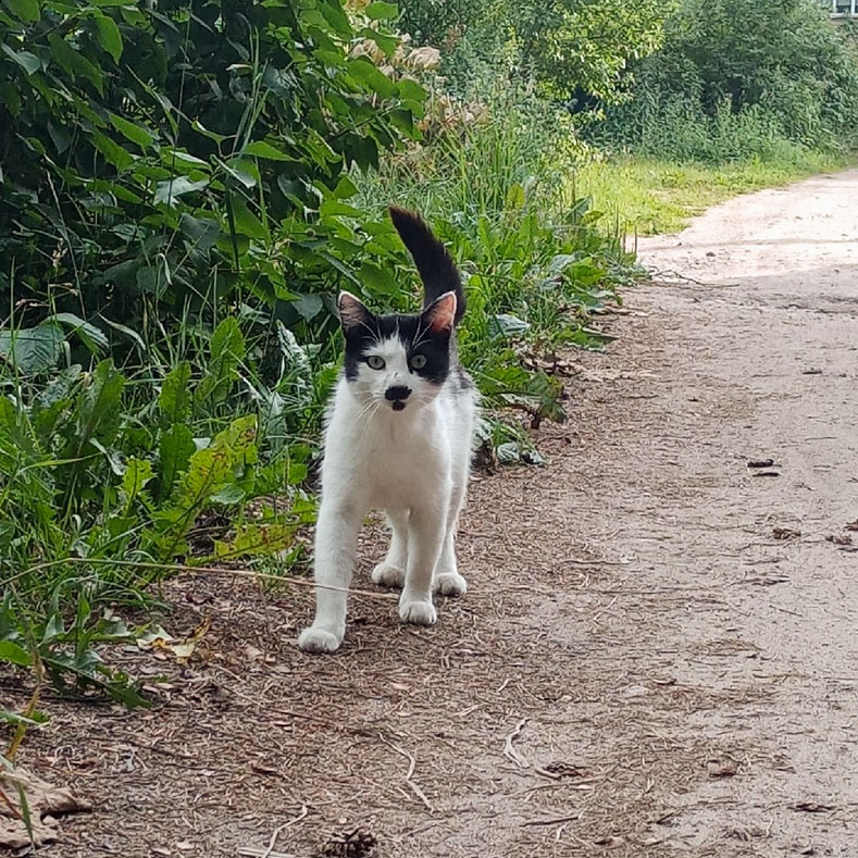 1659208652-e4429423f4f431f9f04a09be3cb2c