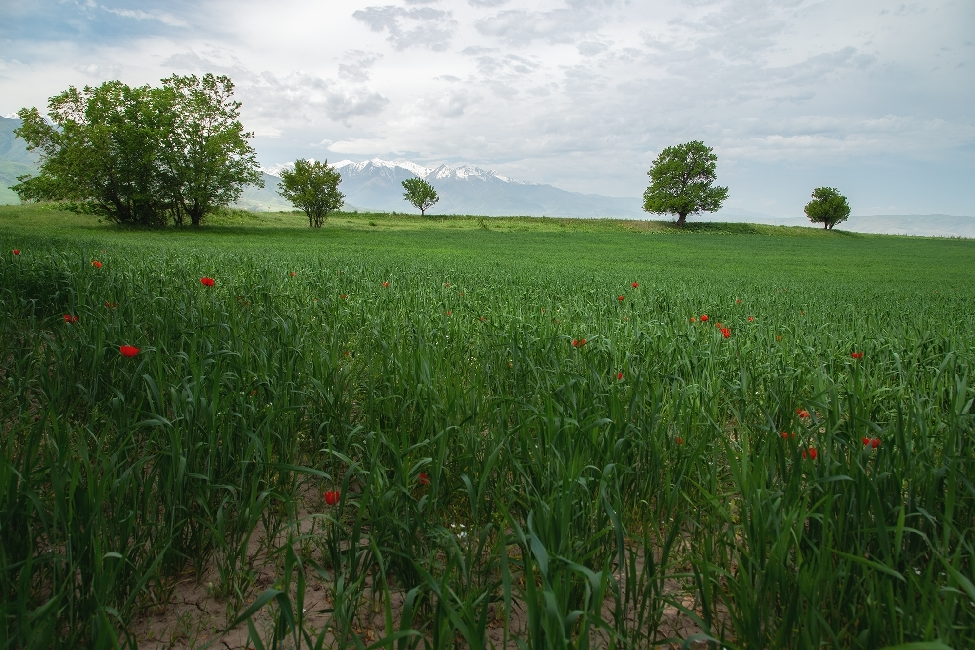 1684753522-e44f7ec97b84b6dca952b6a8fd58d