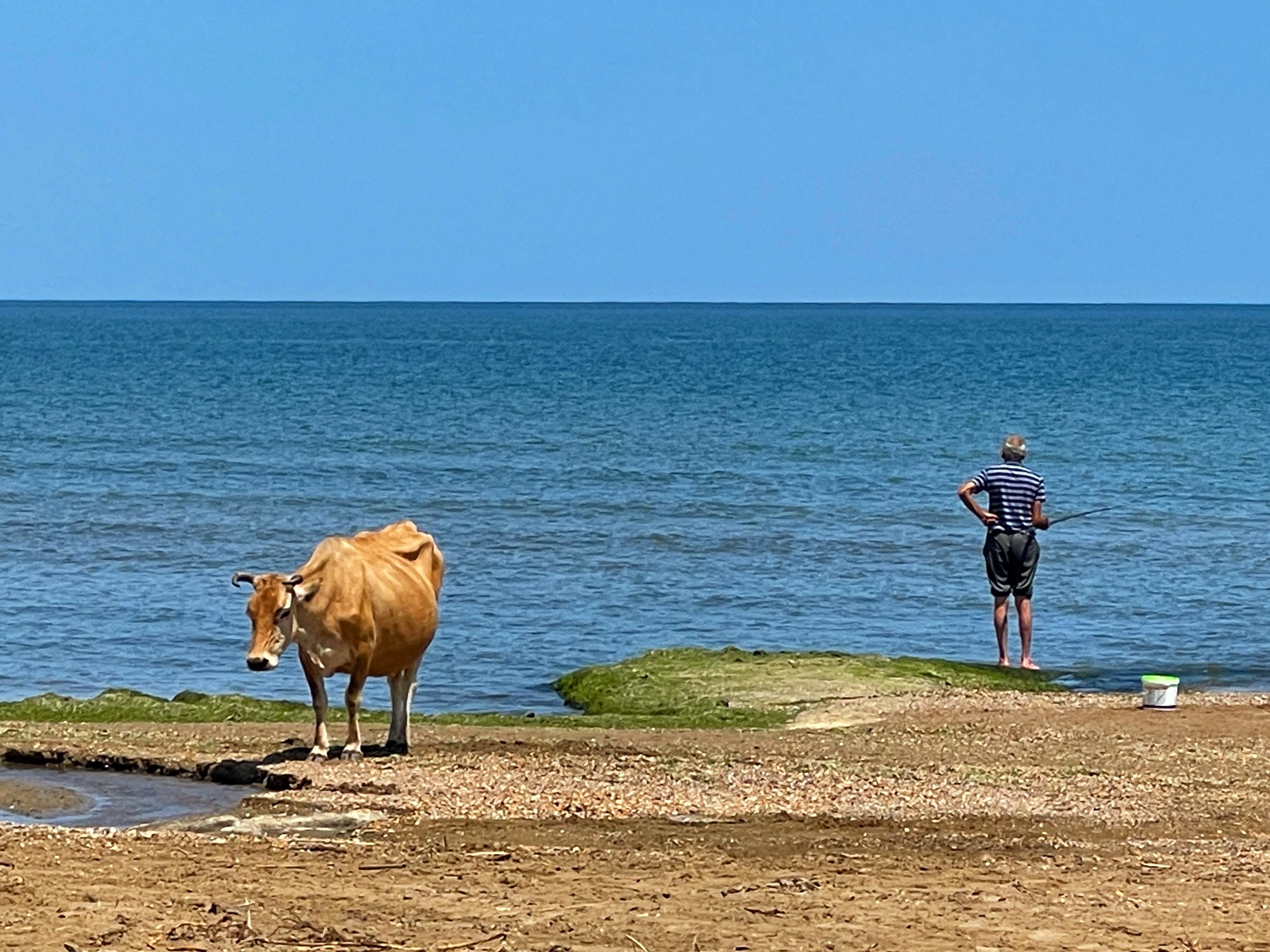 1689848162-e6520ae314bea21da3d4b53cde3be