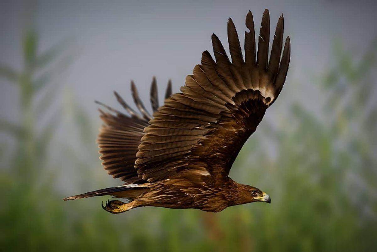 Начало старта