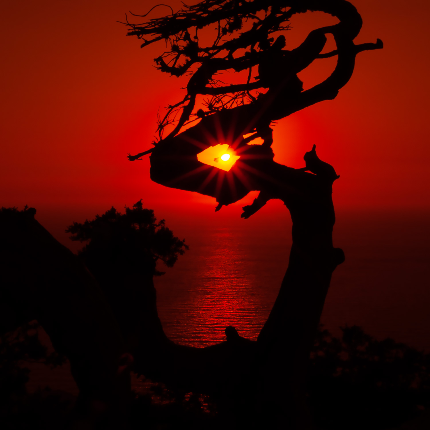 1669488620-e8643792362041f520c4b4777499b