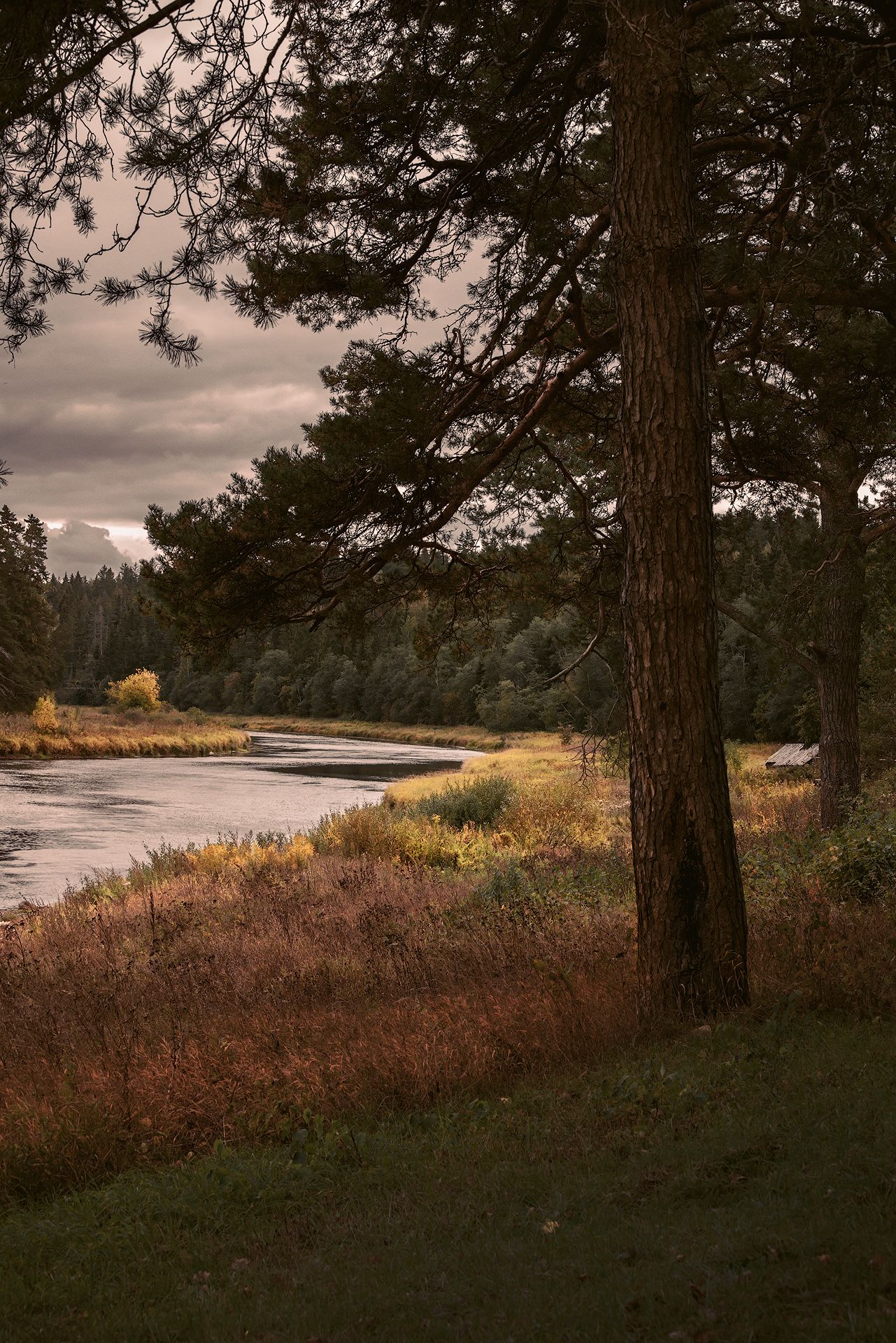 Размышления