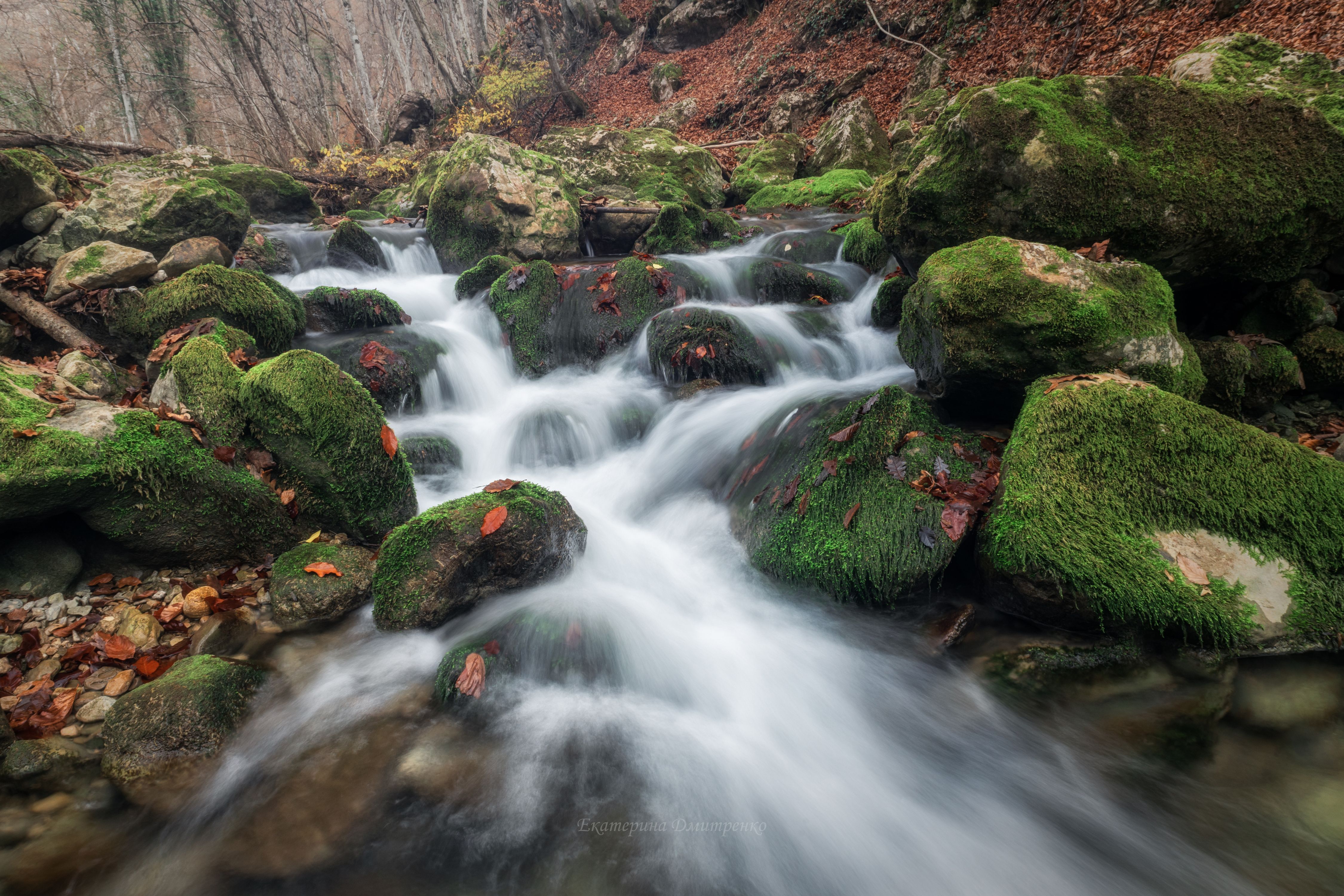 Поздняя осень в Большом каньоне