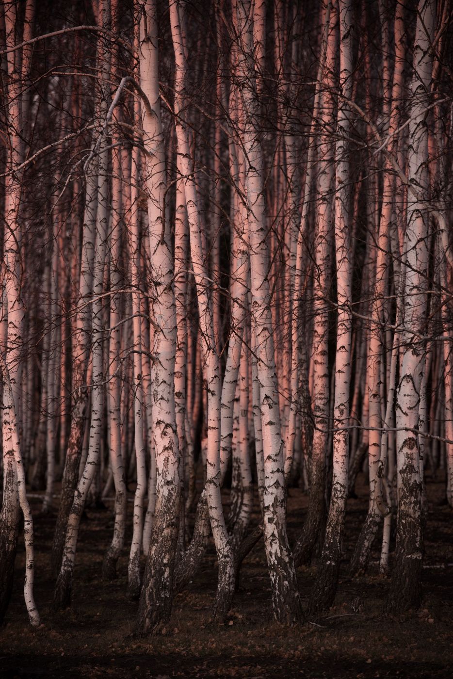 Родные места