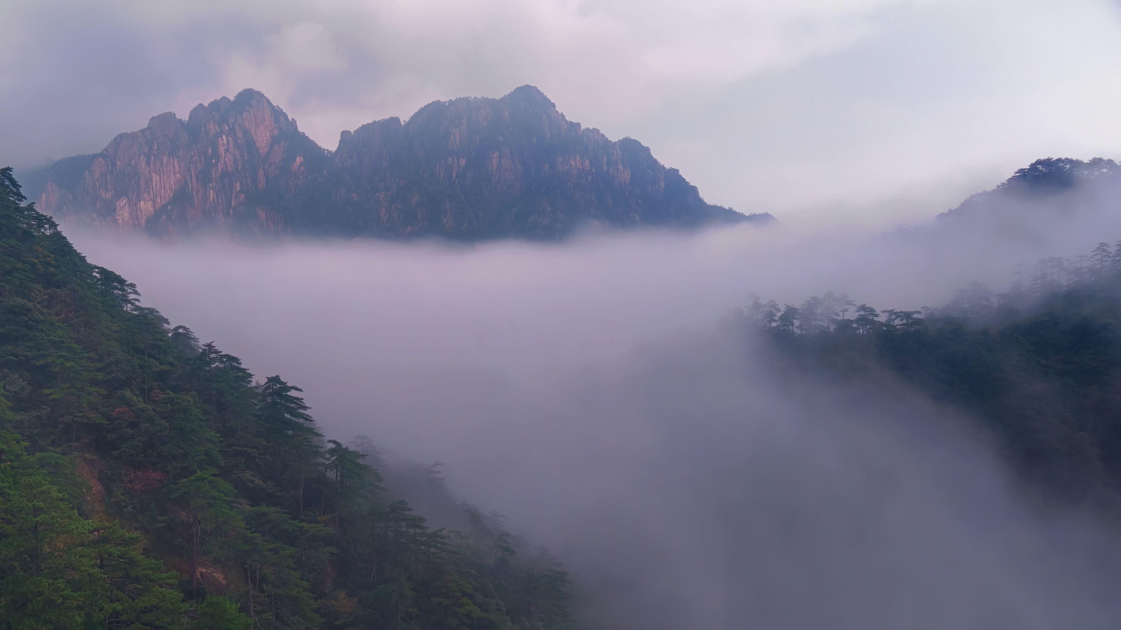 Плывут в небе