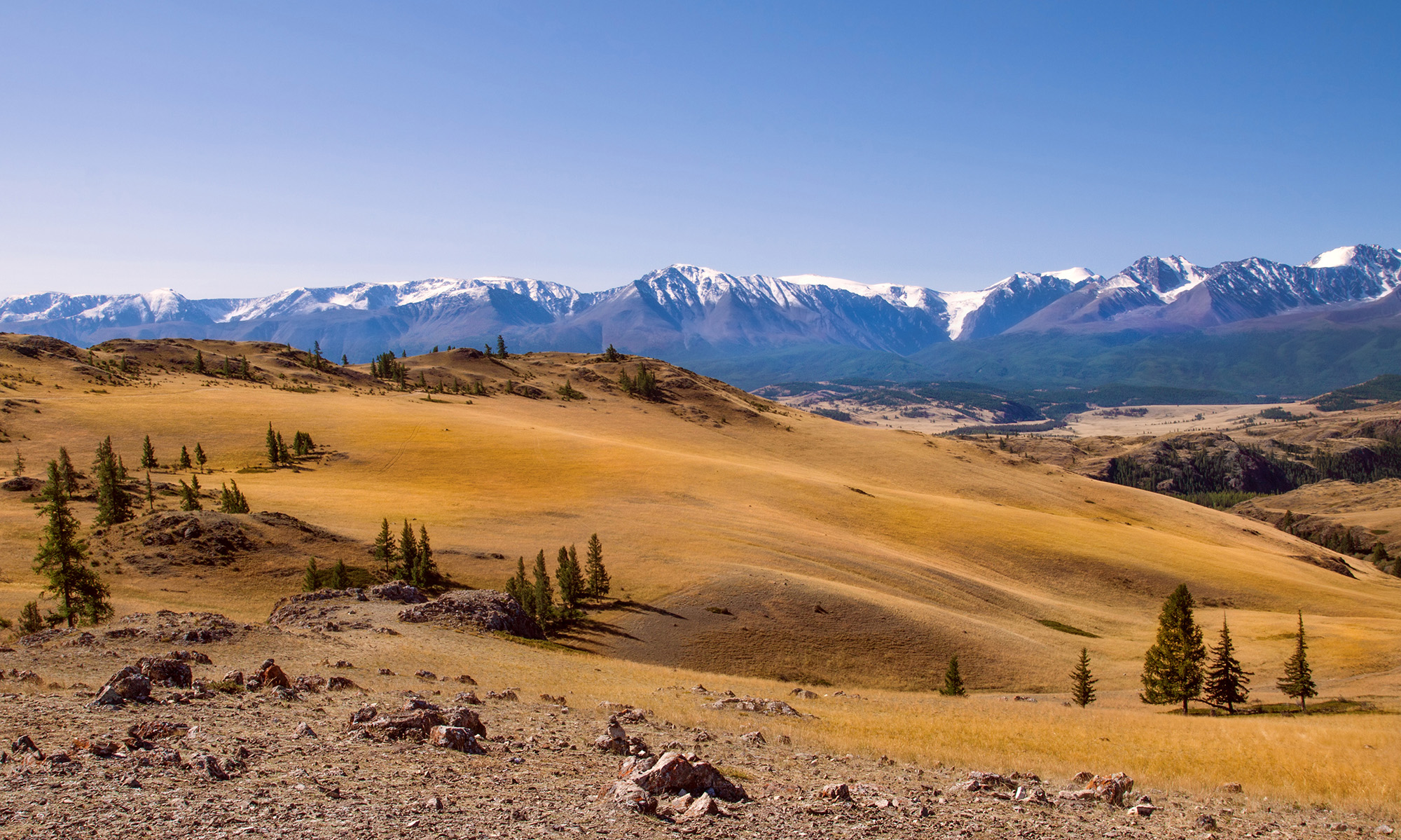 1754829679-ee1e61eb826550c71f13a269cc2e4