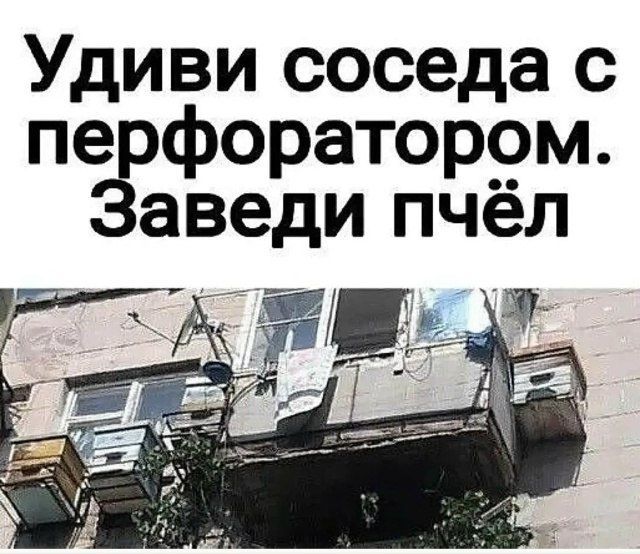 1767776876-ee3f20f2e0f953e34737e375a2f95