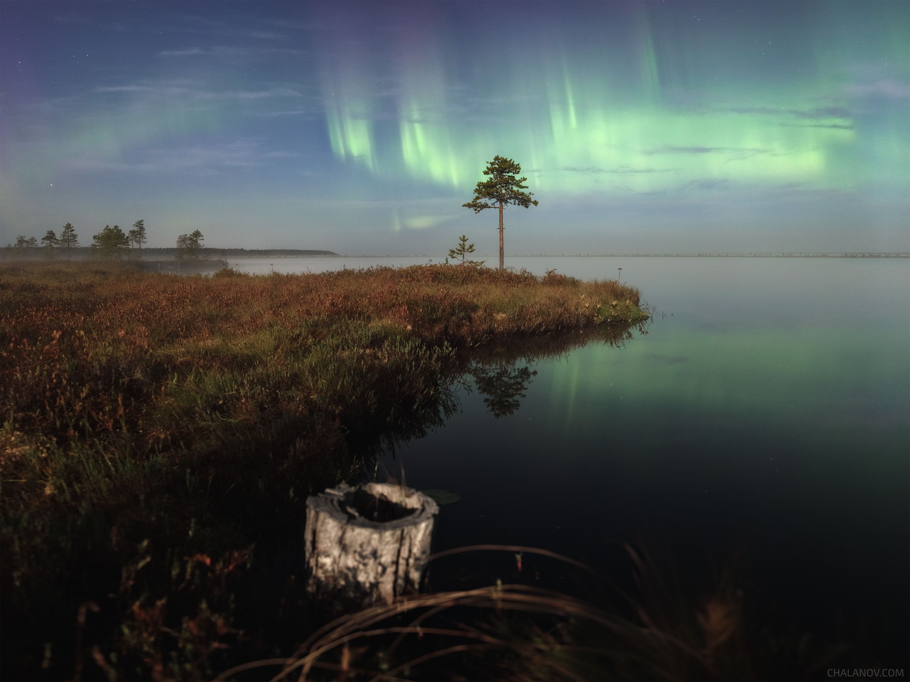 Танец Авроры в полнолуние